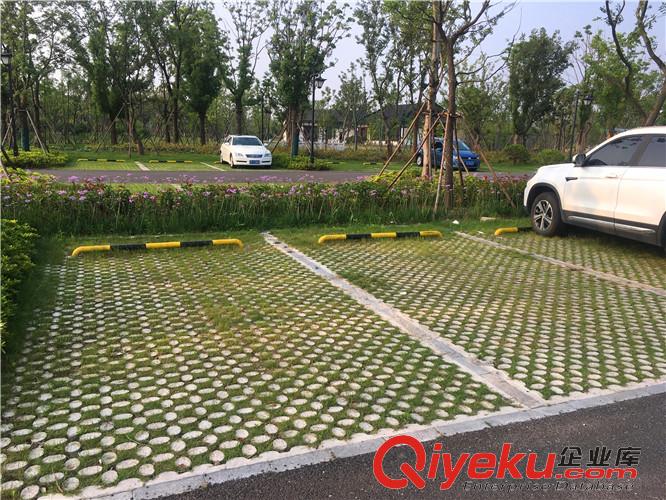 呂梁高承載植草地坪模具廠家直供 江蘇撰石景觀