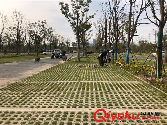 西安高承載植草地坪模具廠家直供 江蘇撰石景觀