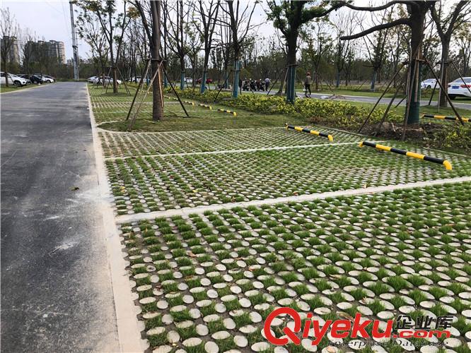 咸陽高承載植草地坪模具廠家直供 江蘇撰石景觀