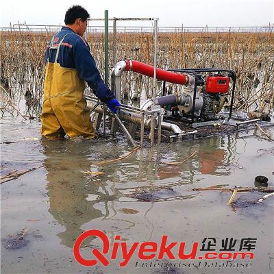供應新款加大馬力汽油挖藕機用起來更流暢原始圖片2