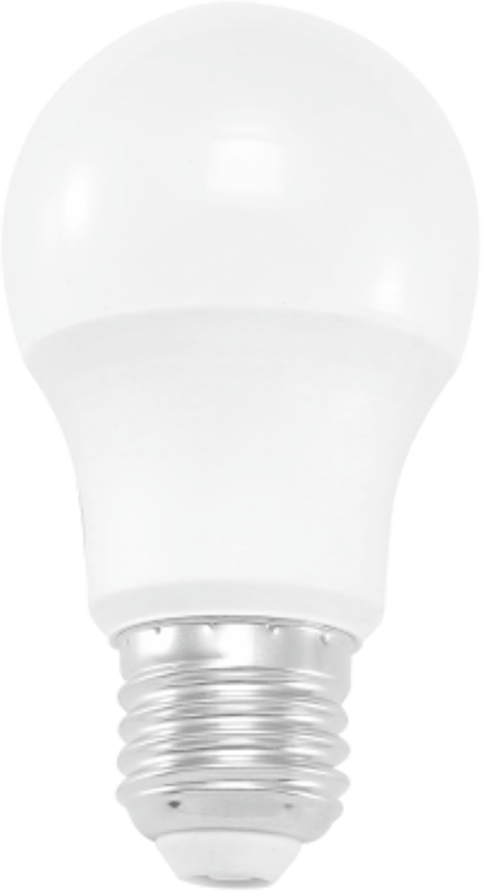 MAQ-T Bulb Serices