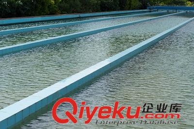 兼容型循環水管道阻垢劑L-403贛州催化劑廠循環水系統用原始圖片3