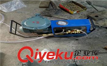 硫化機(jī)配件礦用隔爆型電動(dòng)泵 型號(hào) LGB-8L 防爆電動(dòng)泵原始圖片2
