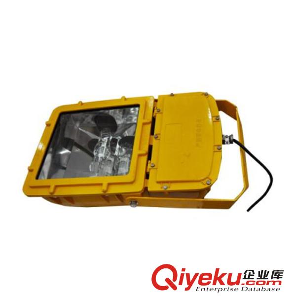  水泥廠BFC8110/HN防爆泛光燈原始圖片2