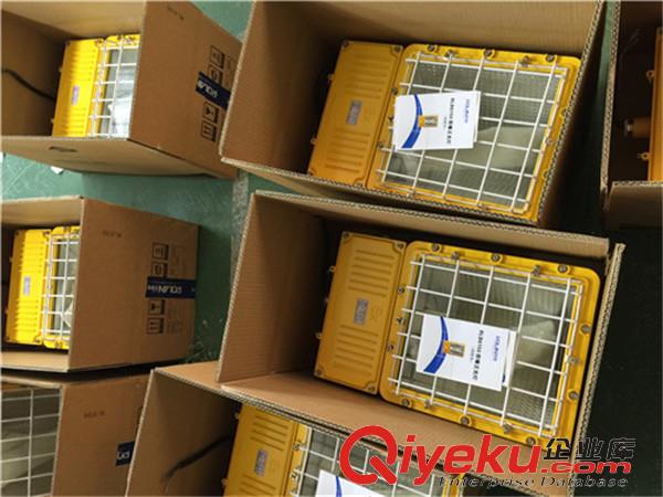  水泥廠BFC8110/HN防爆泛光燈原始圖片3