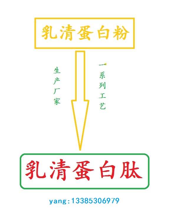 乳清蛋白肽-小分子低聚肽中食都慶生產廠家，小分子蛋白肽