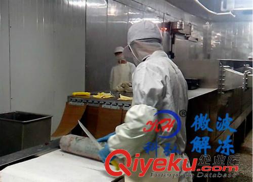 供應科弘KH-GMTN微波解凍機原始圖片3