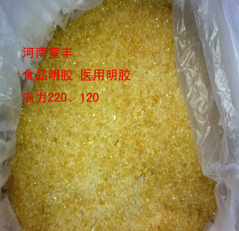 廠家直銷凍力120食用明膠的價格 凍力160明膠廠家