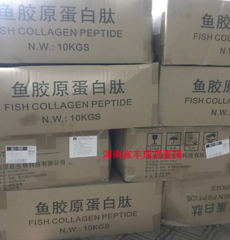 廠家直銷食品級(jí)魚膠原蛋白的價(jià)格 哪里賣