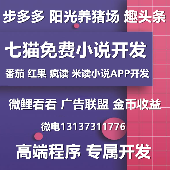 疯读小说七猫米读红果番茄闪电阅读APP开发