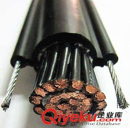控制電纜RVV1G RVV2G電動葫蘆電纜原始圖片3