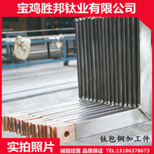 廠家生產鈦銅復合棒/扁排 耐腐蝕鈦陽極桿 加工訂制鈦包銅 品質保證原始圖片2