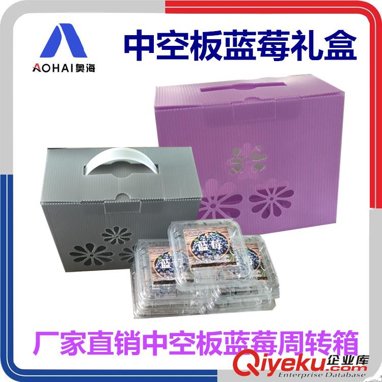 奧海中空板周轉箱藍莓包裝箱PP塑料萬通板瓦楞板水果膠框箱