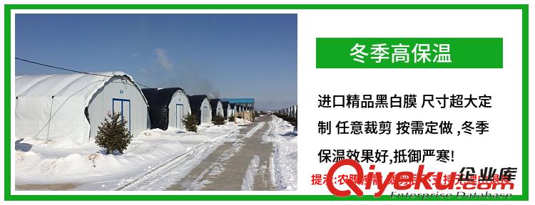 PEP利得膜、進口黑白膜、養雞豬鴨大棚膜、青儲反光隔熱膜、養殖大棚膜、食用菌菇種植大棚膜、防滲水膜、黑白膜、綠白膜、農膜、塑料膜、PO無滴水膜、透明膜