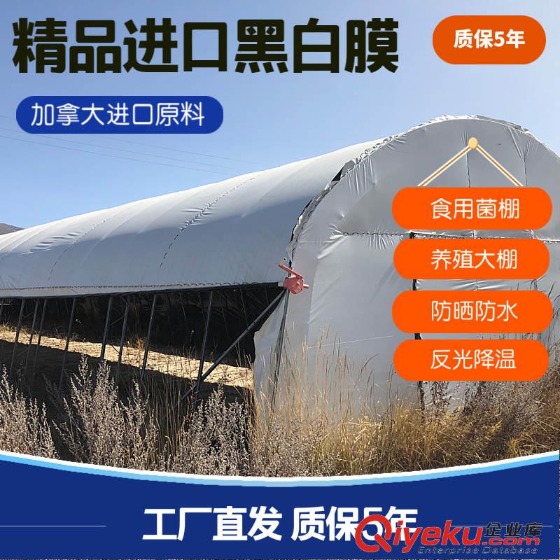 大棚防曬膜 溫室大棚黑白膜 溫室膜 溫室大棚防曬膜 溫室大棚專用膜 